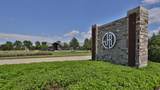 31806 Bluebell Avenue - Photo 3