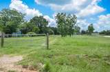 3853 College Street - Photo 5