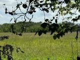 TBD County Road 211 - Photo 10
