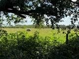 TBD County Road 211 - Photo 14