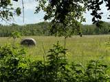 TBD County Road 211 - Photo 15