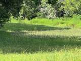 TBD County Road 211 - Photo 24