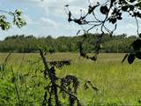 TBD County Road 211 - Photo 9