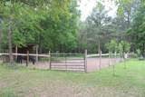 31 Elendor Drive - Photo 17