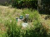 131& 807 St Mary - Photo 24