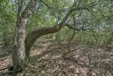 tbd Cedar Hill Road - Photo 11