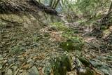 tbd Cedar Hill Road - Photo 15