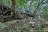 tbd Cedar Hill Road - Photo 6