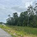315 county road 37301 - Photo 5