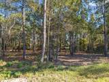 195 Bunkhouse Road - Photo 12