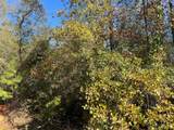126 Moonlite Drive - Photo 4