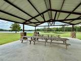 10769 Ruger Rd - Photo 8
