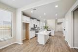 31122 Balsam Hawk Lane - Photo 16