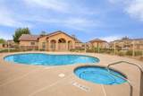 8410 Tigris Drive - Photo 7