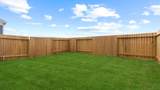 3534 Lovebird Lane - Photo 19