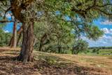 TBD Bauer Road - Photo 7