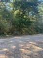0 Le Conte Ln Lane - Photo 1