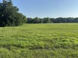TBD Osprey Street - Photo 3