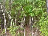 TBD County Road 1375 - Photo 10