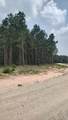 Tract 82 Collin St - Photo 6