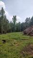 Tract 82 Collin St - Photo 9