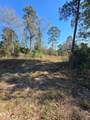 10287 Wanda Lane - Photo 3