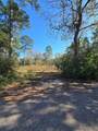 10287 Wanda Lane - Photo 4