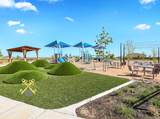 2214 Sand Lily Drive - Photo 44