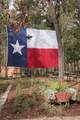 11994 Braided Mane Street - Photo 12
