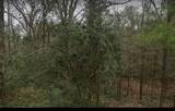 1535 Sunrise Trail - Photo 2