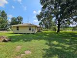 13114 Kathy Lane - Photo 17