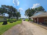 13114 Kathy Lane - Photo 42