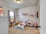 10302 Muir Peak Drive - Photo 29