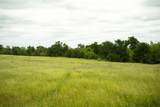1716 A County Road 469 - Photo 17
