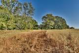 1879 County Road 413 - Photo 7