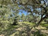 Lot 4 County Road 14 - Photo 15