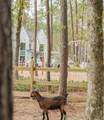 11418 Mandolin Drive - Photo 22