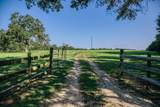 10671 Hidalgo Falls Rd - Photo 2