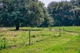 10671 Hidalgo Falls Rd - Photo 26