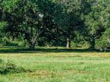 10671 Hidalgo Falls Rd - Photo 6