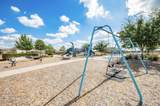 17231 Walden Lake Lane - Photo 18