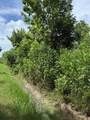 000 Pine - Photo 1