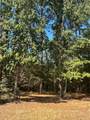 575859 Grand Pine Circle - Photo 2