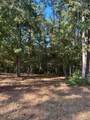 575859 Grand Pine Circle - Photo 3