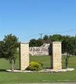 31041 Doe Run Ct - Photo 1