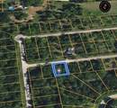 31041 Doe Run Ct - Photo 2