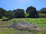 31041 Doe Run Ct - Photo 6