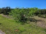 31041 Doe Run Ct - Photo 8