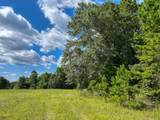 TBD County Road 1804 - Photo 2