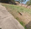 2915 Rosalie St Street - Photo 2